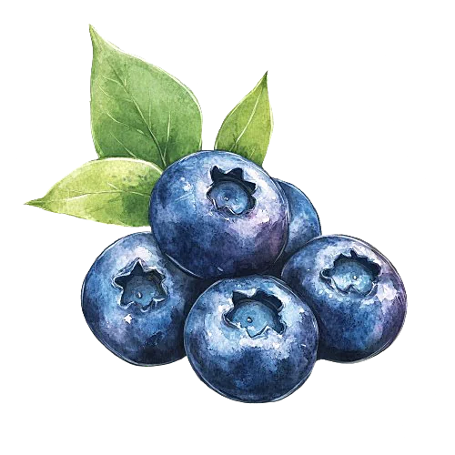 illustration_of_blueberry_in_water_color_pastel-removebg-preview